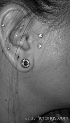 Black Lobe Piercing