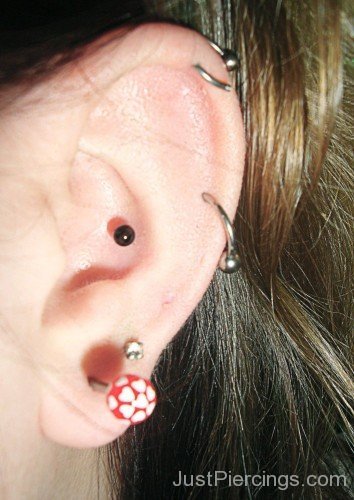 Preety Inner Conch Piercing