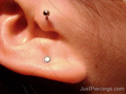 Tragus Piercing Beautiful Jewelry