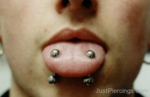 Venom Piercing With Steel Barbells