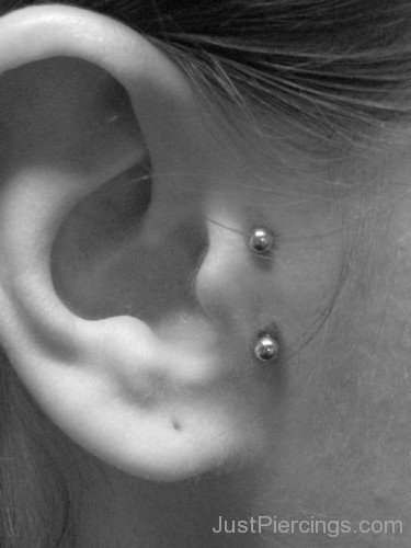 Anti Tragus Piercing