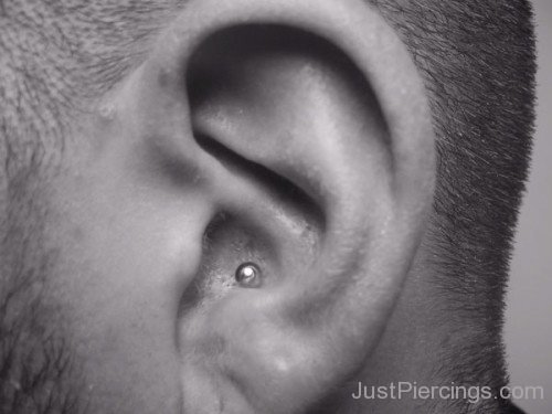 Conch Ear Piercing