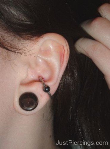 Large Lobe and Coch Piercings