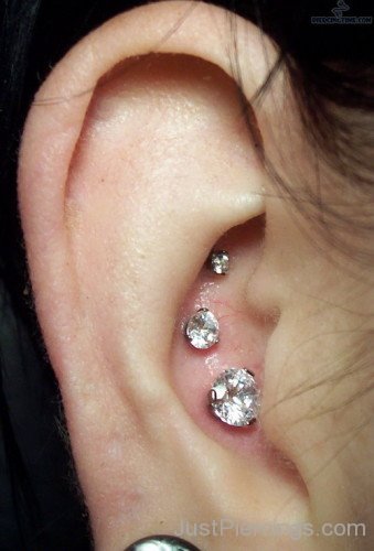 Conch Piercing