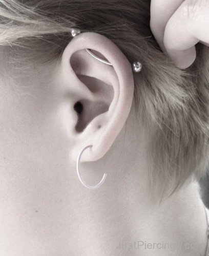 Curves Pretty Industrial Piercing