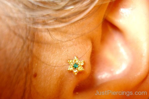 Golden Tragus Piercing