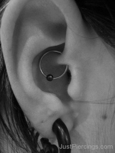 Large Lobe and Daith Piercing