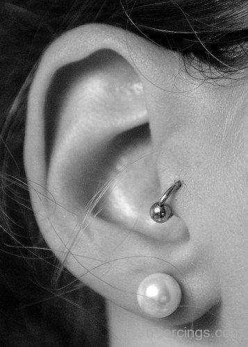 Lobe Barbell and Tragus Piercing