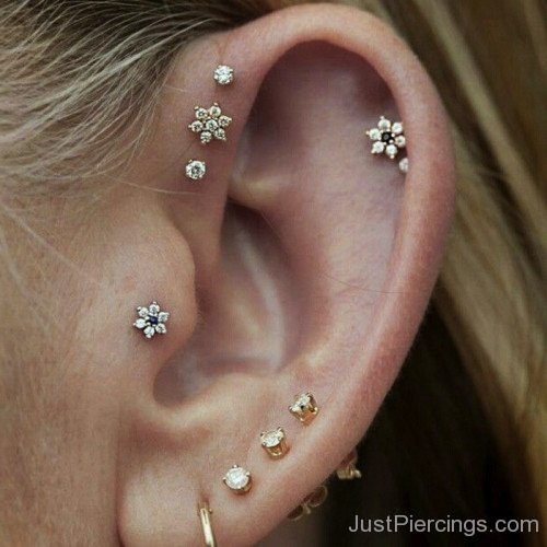 Lobe Helix and Tragus Piercing