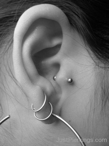 Lobe Ring and Tragus Piercing Picture