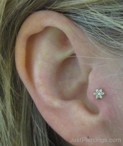 SilverTragus Piercing