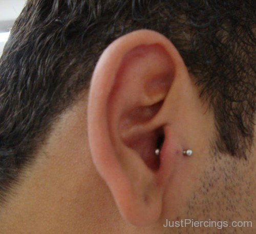 Tragus Piercing