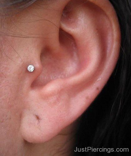 Tragus Piercing on Left Year