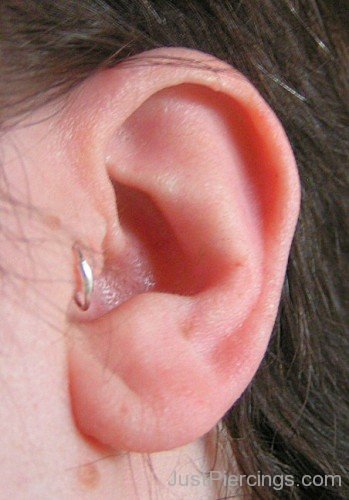 Tragus Piercing Image