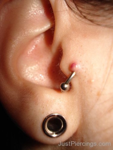 Tragus Ring and Lobe Piercing