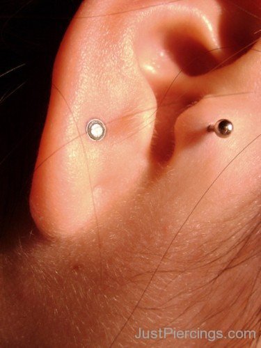 Tragus and Anti Tragus Image