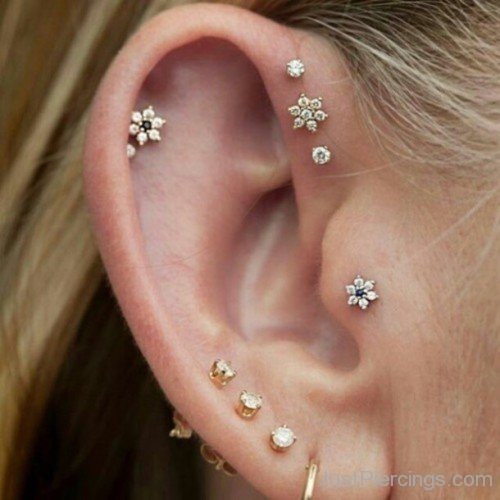 Beautiful Tragus Helix And Lobe Piercing