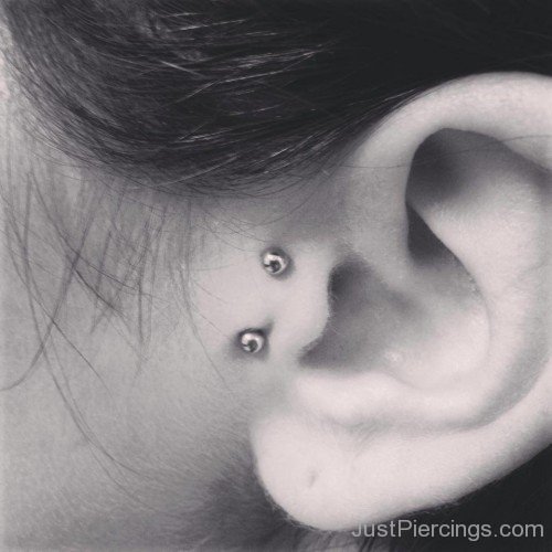 Dual Tragus Piercing Image