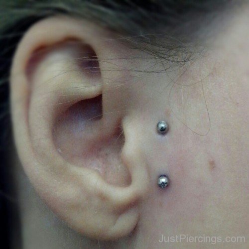 Dual Tragus Piercing Picture