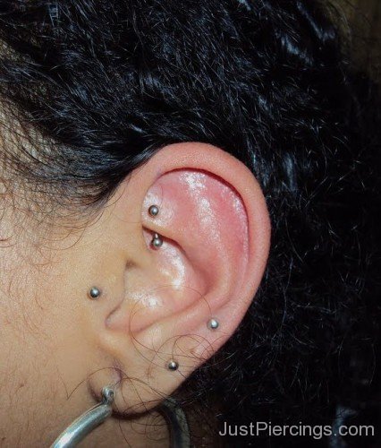 Lobe Rook And Tragus Piercing