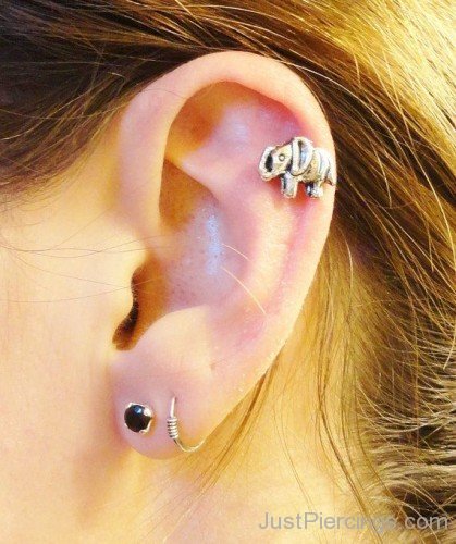 Lobe and Elephant Helix Piercing