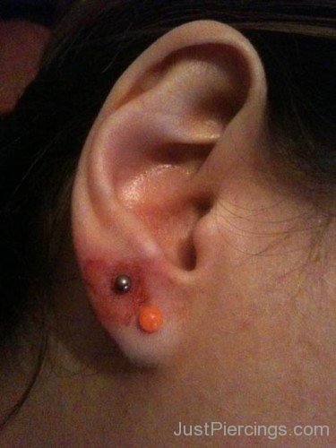 Orange Lobe And Anti Tragus Piercing