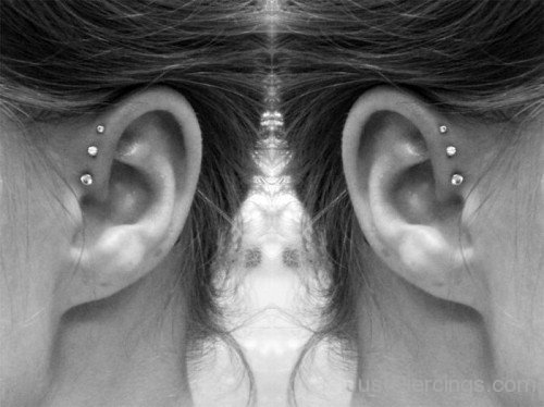 Triple Helix Piercing Picture