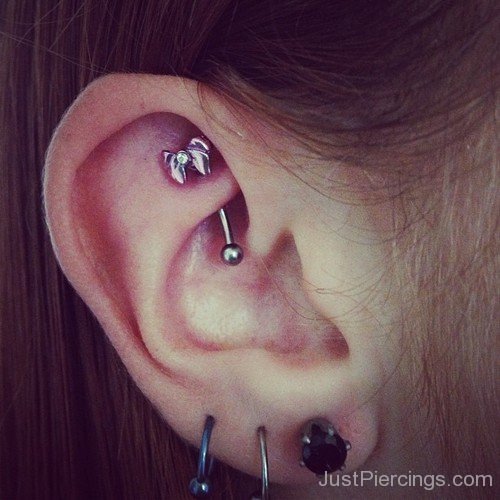 Ultimate Rook Lobe Piercing