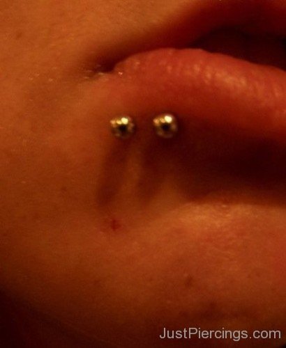 Spider Bites Piercing 