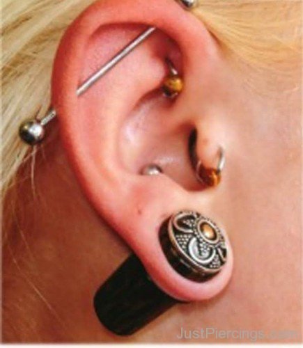 Awesome Gauge Lobe And Scaffold Piercing