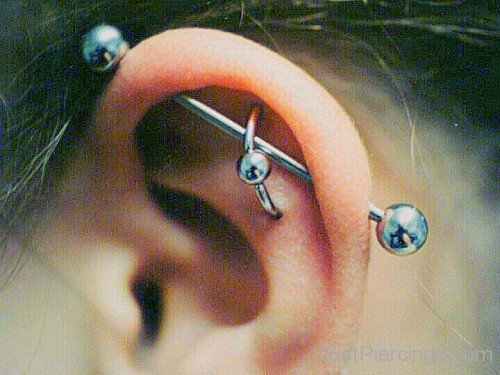 Lovely Scaffold Piercing Pic