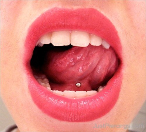 Silver Stud Web Piercing For Girls