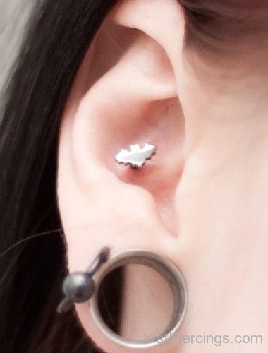 Inner Conch Piercing With Bat Stud