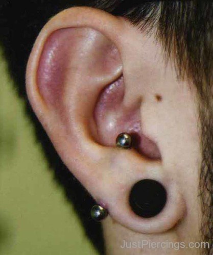 Lobe And Conch Piercing