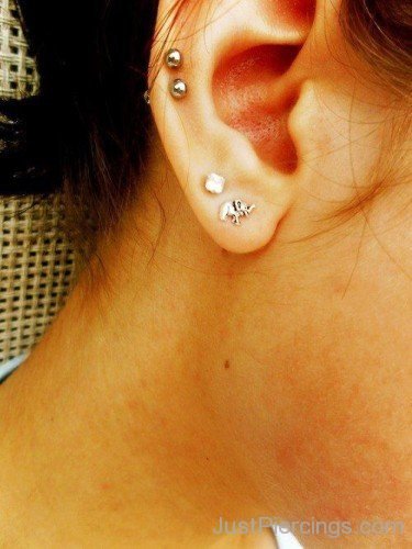 Elephant Lobe And Dual Snug Piercing-JP123