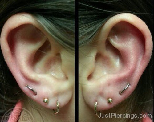 Double Lobe And Orbital Piercing-JP12318