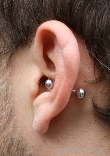 Conch Piercing