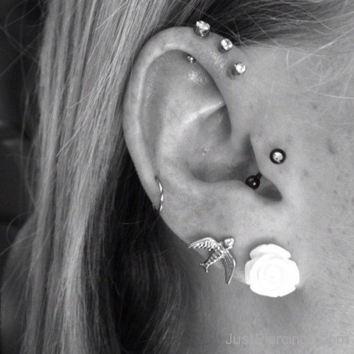 Anti Helix Piercing Image-JP1013