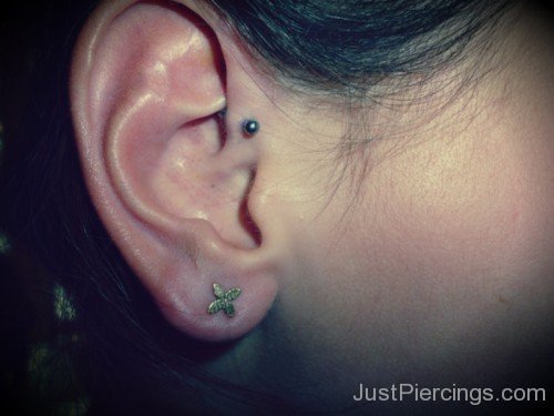 Anti Helix Piercing Picture1-JP1015