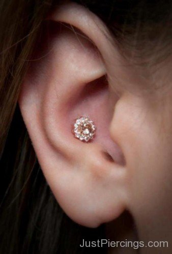 Conch Piercing-JP1034