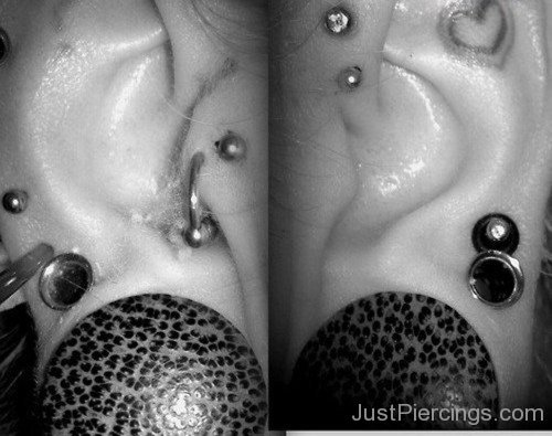 Anti Helix,Helix,Lobe Piercing and Heart Tattoo-Jp111