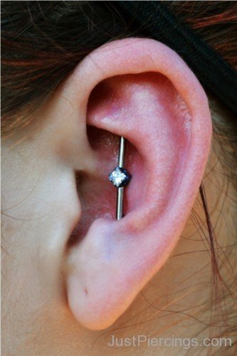 Conch Piercing-Jp107