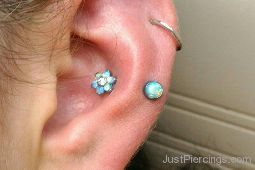 Coored Snug Piercing-JP1031