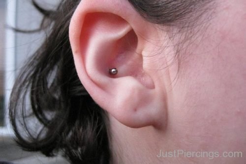 Awesome Conch Piercing 1-JP1004