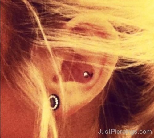 Awesome Conch Piercing On Ear-JP1004