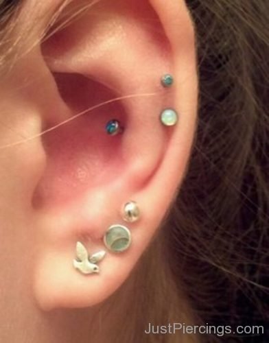 Bird Lobe stud And Dual Cartilage Piercing-JP1006