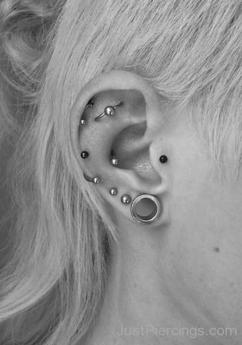 Black & White Conch Piercing-JP1009