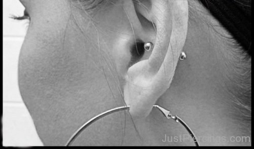 Conch  And Lobe Piercing With Big Ring-JP1012