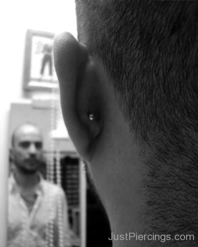 Conch Piercing 1-JP1047