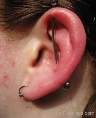 Conch Piercing 2-JP1048